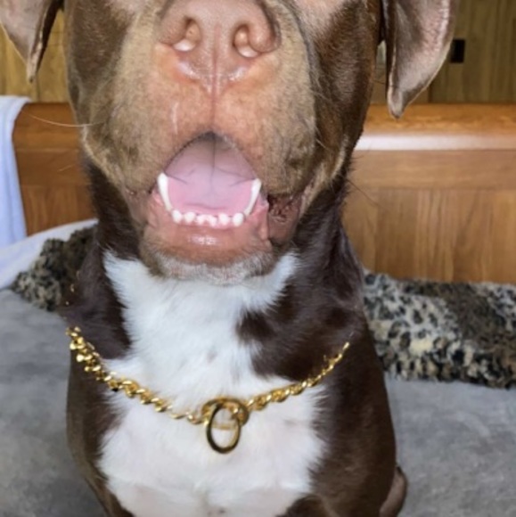 Meet your Posher, Smuuuv - Picture 1 of 1